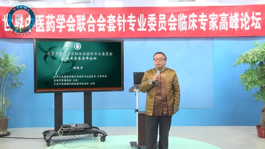 杨建宇：世中联套针专业委员会临床专家高峰论坛