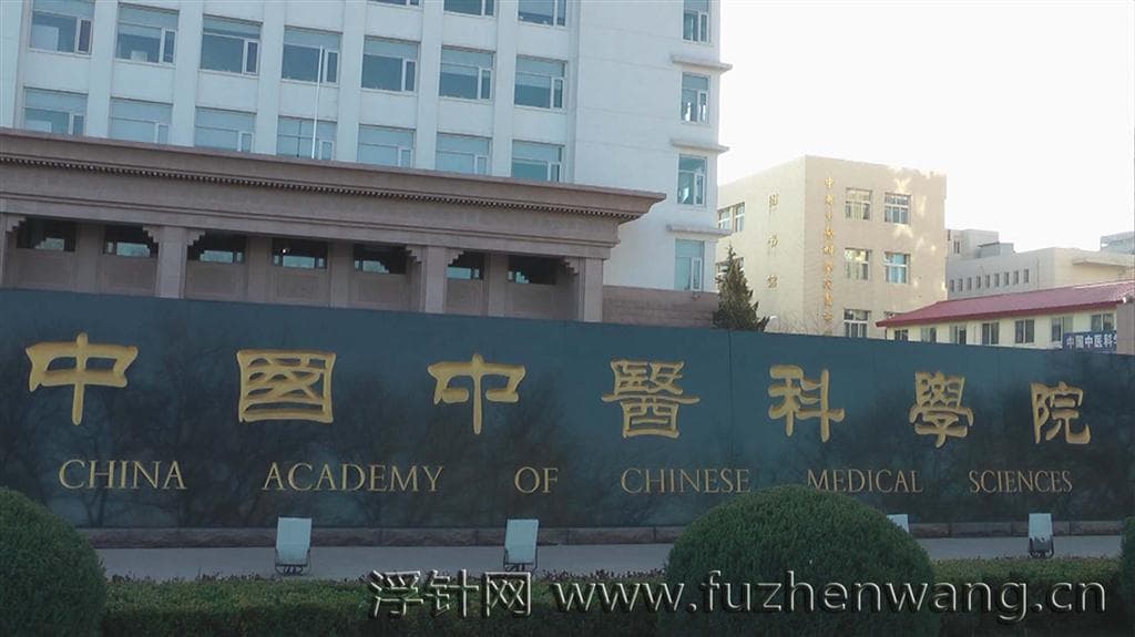 全国浮针疗法第173届培训班在中国中医科学院针灸研究所成功举办并圆满结束 北京（2011年4月3-4日）
