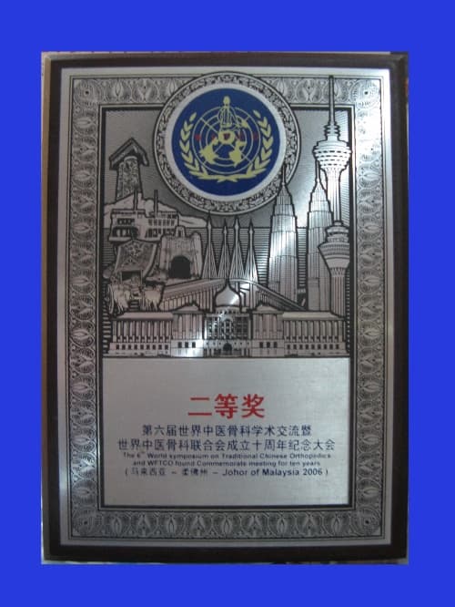 马来西亚第六届世界中医骨科学术交流暨世界中医骨科联合会成立十周年纪念大会上荣获“二等奖”