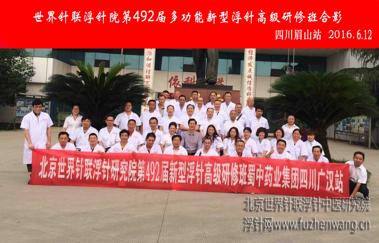【多功能皮下套管针疗法】世界针联浮针中医研究院第492届新型浮针疗法研修班在四川眉山成功举办并圆满结束（2016年6月11日-6月12日）眉山