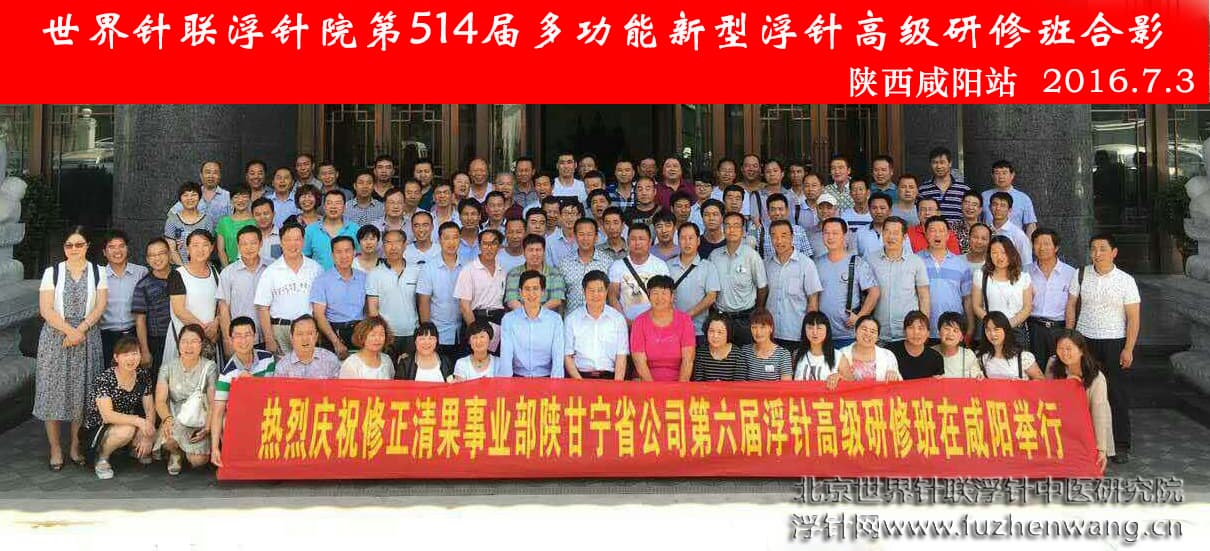 【多功能皮下套管针疗法】世界针联浮针中医研究院第514届新型浮针疗法研修班在陕西咸阳成功举办并圆满结束（2016年7月2日-7月3日）咸阳