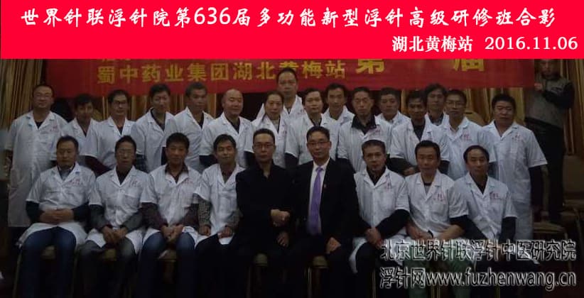 【多功能皮下套管针疗法】世界针联浮针中医研究院第636届新型浮针疗法研修班在湖北黄梅成功举办并圆满结束（2016年11月06日-11月07日）黄梅
