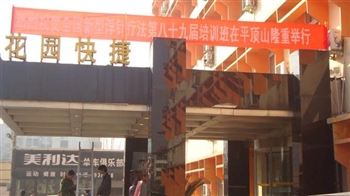 全国浮针疗法第八十九届培训班在河南平顶山成功举办并圆满结束（2010年1月02-03日）平顶山