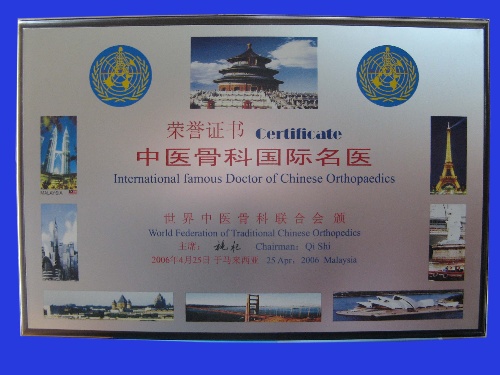 2006年4月我中心主任在马来西亚世界中医骨科联合会 荣获“中医骨科国际名医”