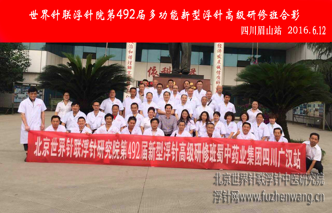 【多功能皮下套管针疗法】世界针联浮针中医研究院第492届新型浮针疗法研修班在四川眉山成功举办并圆满结束（2016年6月11日-6月12日）眉山