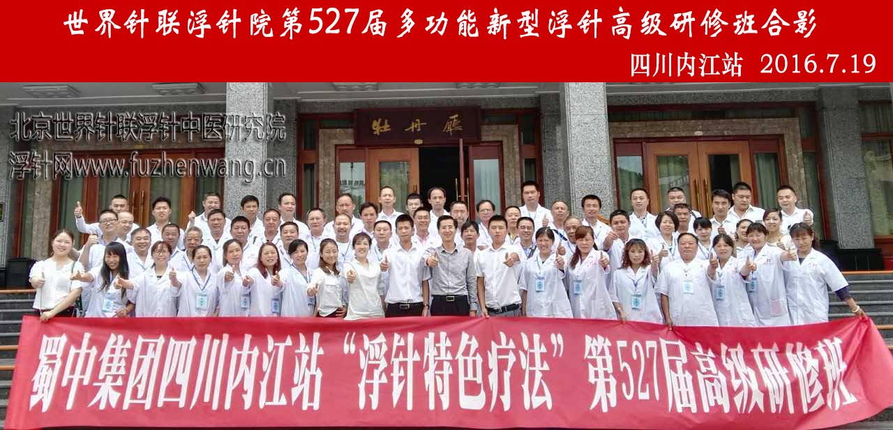 【多功能皮下套管针疗法】世界针联浮针中医研究院第527届新型浮针疗法研修班在四川内江成功举办并圆满结束（2016年7月18日-7月19日）内江