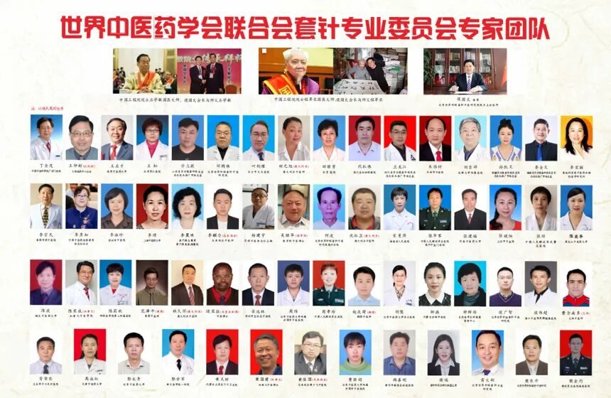 世界中医药学会联合会套针专业委员会专家团队