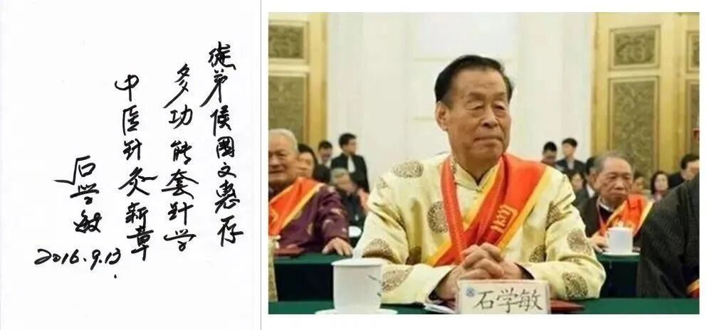 国医大师石学敏